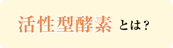 活性型酵素とは?