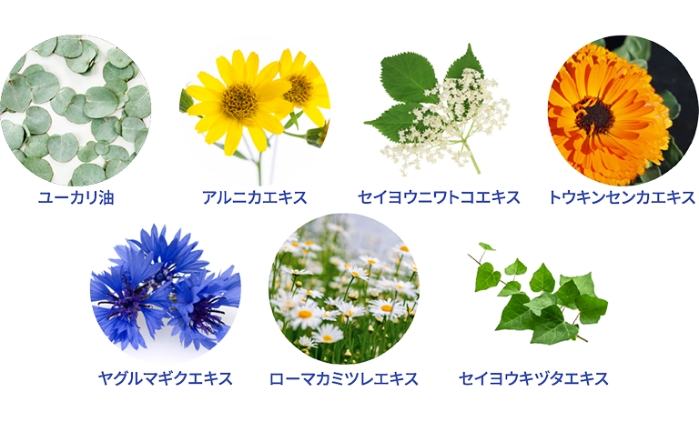 13種の植物エキスを配合「うるおい」をたっぷりと