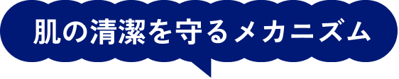 肌の清潔を守るメカニズム