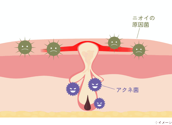 Wの有効成分を配合した「医薬部外品」